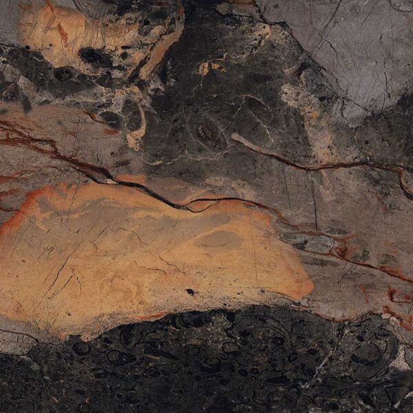 FOSSIL BROWN